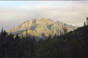 0083 TINGUIRIRICA.jpg